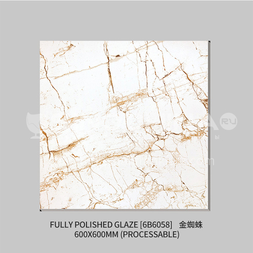 Export to Africa low-priced ceramic tiles, home improvement building materials, floor tiles-  JLS6B6058 600×600mm